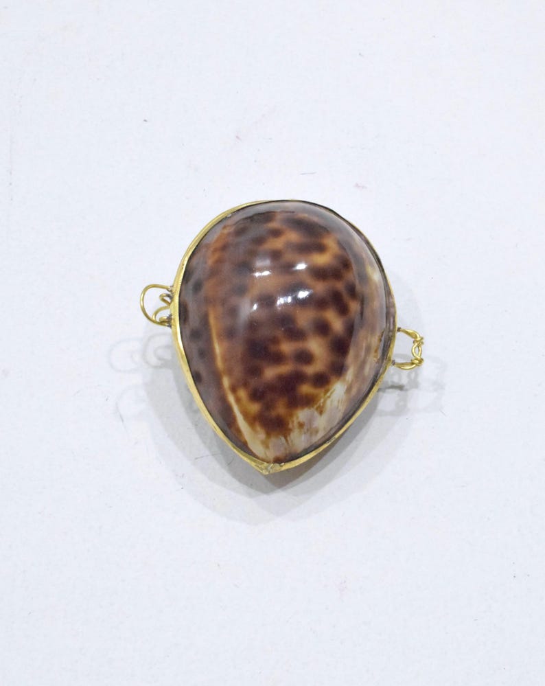 May include: A teardrop-shaped cowrie shell pendant featuring a glossy brown and tan spotted pattern. The shell is encased in a thin gold-toned metal frame with small loops on both sides, designed for attachment to a chain or cord for jewelry.