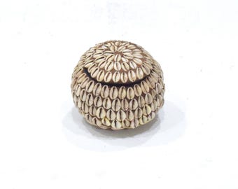 African Cowrie Shell Gourd Box Ritual Kenya