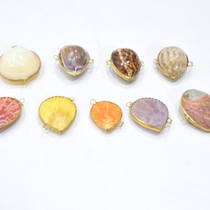 May include: A collection of nine assorted seashells, each encased in a thin gold-toned metal frame with small loops on the sides. The shells feature various natural colors including white, brown, yellow, orange, purple, and iridescent pink tones.