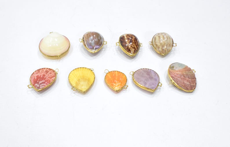 May include: A collection of nine assorted seashells, each encased in a thin gold-toned metal frame with small loops on the sides. The shells feature various natural colors including white, brown, yellow, orange, purple, and iridescent pink tones.