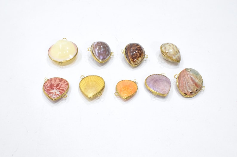 May include: A collection of nine assorted seashell pendants, each encased in a thin gold-toned metal frame. The shells display various natural colors, including cream, brown, orange, pink, and iridescent purple, with distinct textures and patterns.