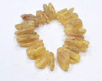 Amber 6 Chunks 605 Grams Unpolished Baltic Amber Pieces