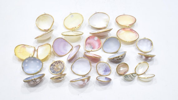 Purses Shell Assorted Colored Shell Pill Box Trin… - image 2