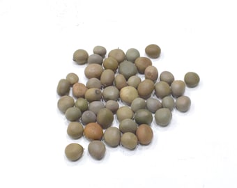 African Mancala Game board Stones Bag of 48
