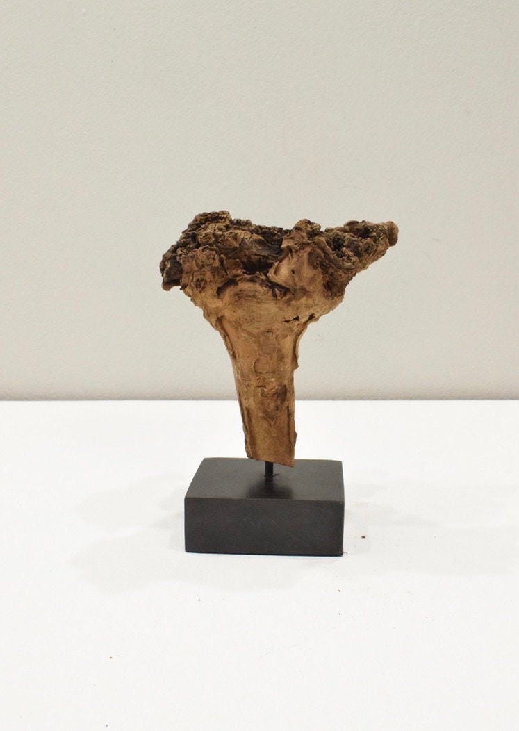 Teak Wood Hand Carved Root Statue Thailand