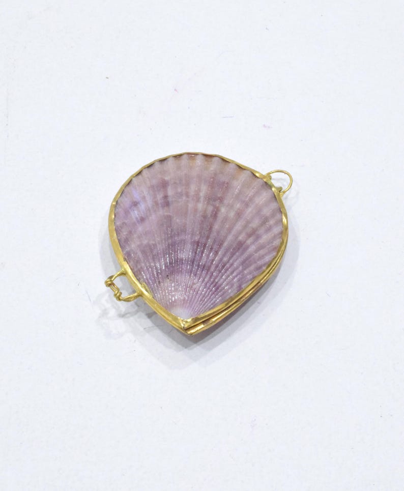 Purses Shell Assorted Colored Shell Pill Box Trinket Coin Purse Purple