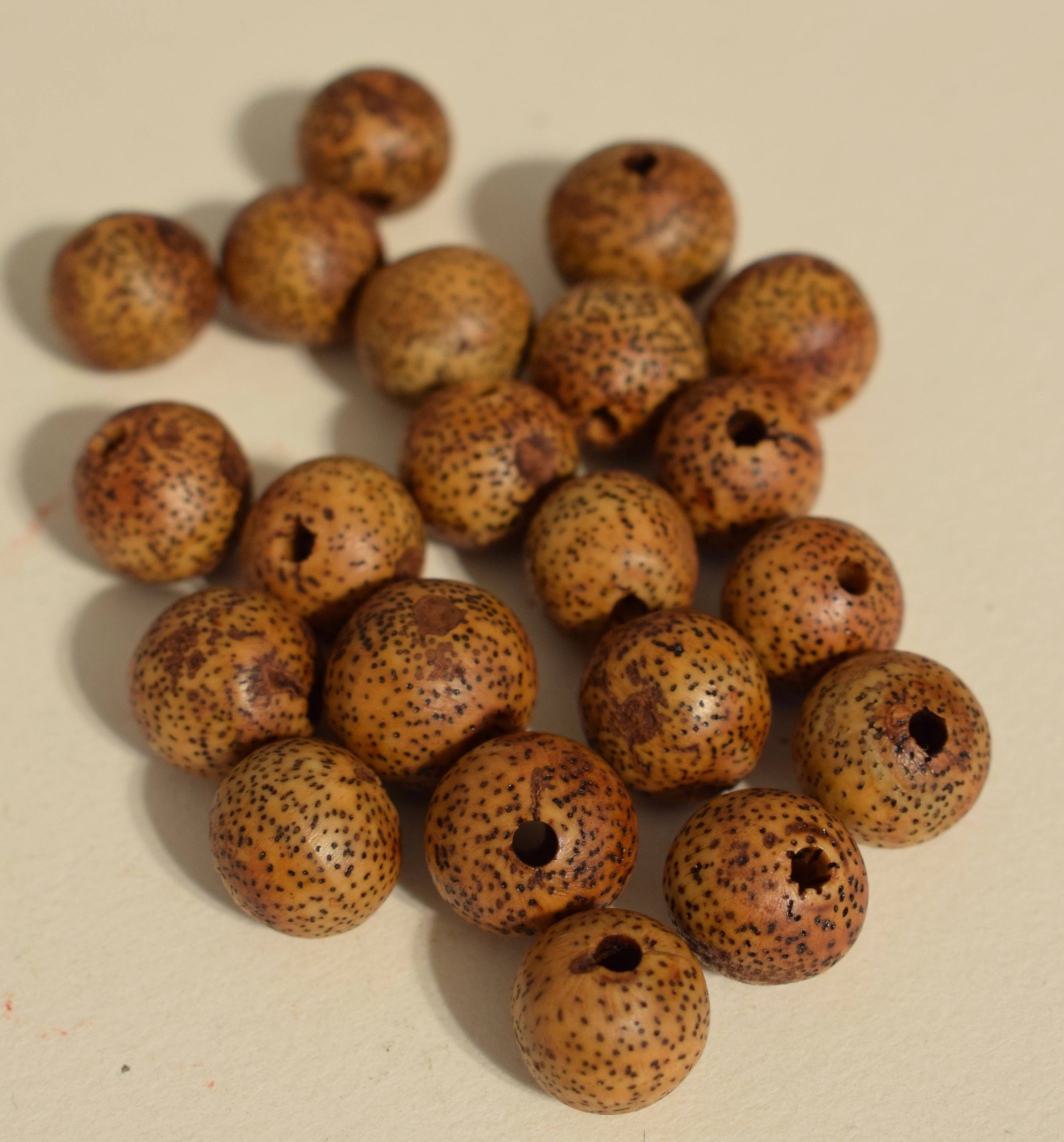 Beads Philippines Brown Betel Nut Round Jewelry Necklace Earrings Betel