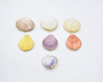 Purses Shell Assorted Colored Shell Pill Box Trinket Coin Purse