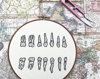 Tooth Illustration Hand Embroidery Hoop Art Textile Art Teeth Tooth Art Grays Anatomy Dentistry Anatomy Modern Art Black and White Bone Art