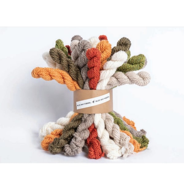 Woolstok Fall Festival mini skein bundle - Blue Sky Fibers Fine Highland Wool - Worsted Weight Yarn