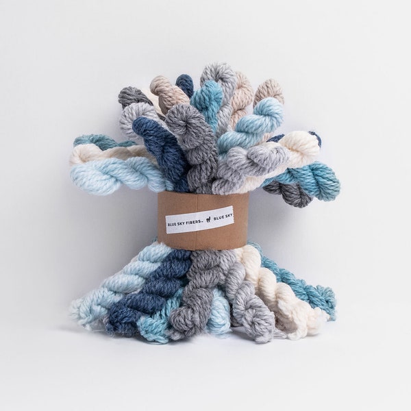 Woolstok Holiday Frost Mini Strang Bündel - Blue Sky Fibers Fine Highland Wool - Worsted Weight Yarn