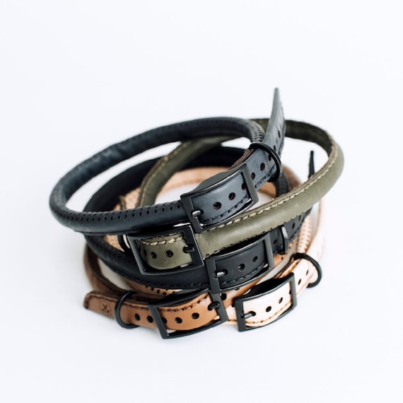 leather dog collar kit