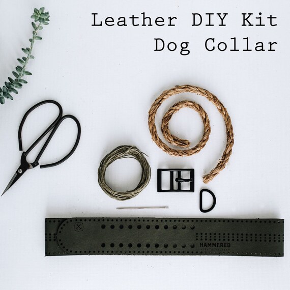 leather dog collar kit