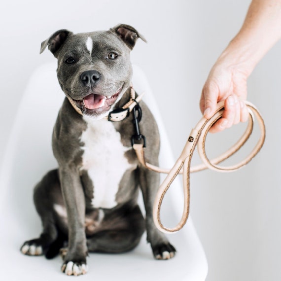 rolled rope dog collars