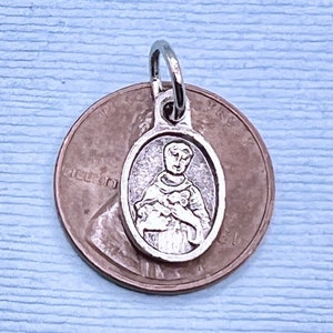 Saint Francis Medal Patron Saint of Animals Poor People Ecology Stowaways Merchants Franciscan Order