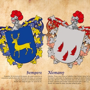 Heraldic shield of two surnames