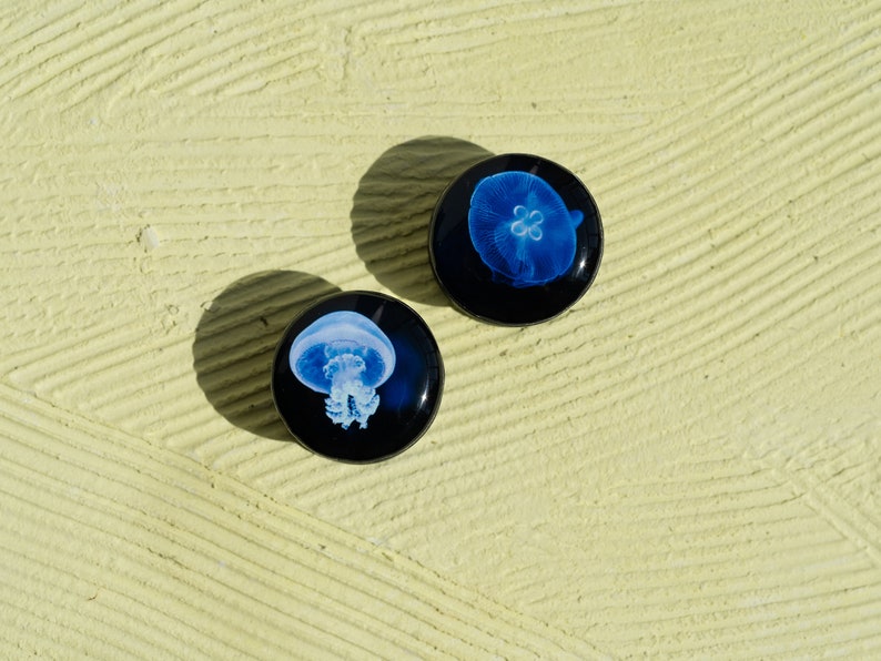 Pair gauges Sea jellyfish image ear wood or clay plugs,4,5,8,10,12,14,16,18,20,22-40mm6g,4g,2g,0g,00g5/16,3/8,1/2,9/16,5/8,3/4,7/8 image 6