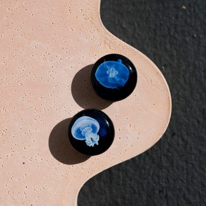 Pair gauges Sea jellyfish image ear wood or clay plugs,4,5,8,10,12,14,16,18,20,22-40mm6g,4g,2g,0g,00g5/16,3/8,1/2,9/16,5/8,3/4,7/8 image 5