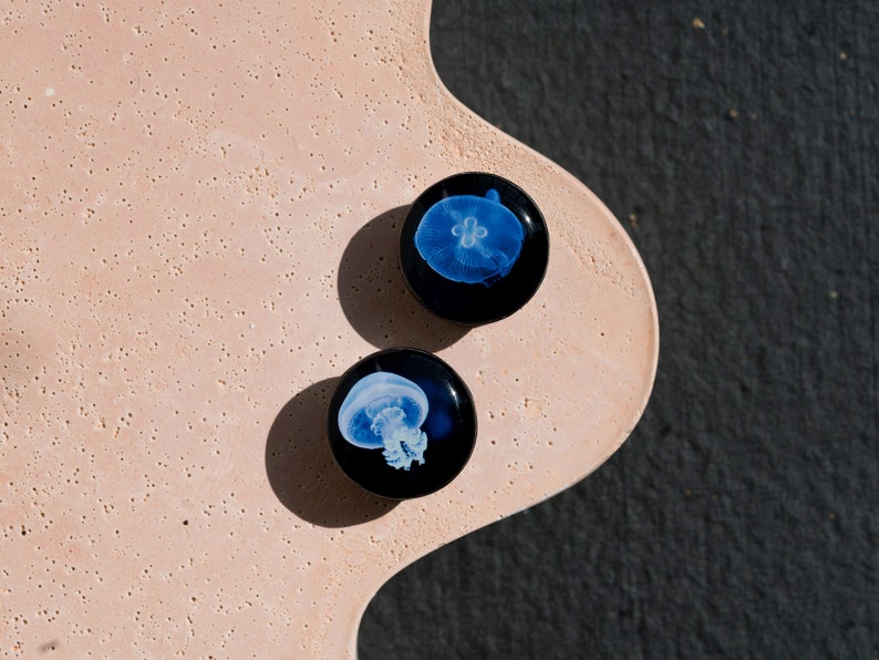 Pair gauges Sea jellyfish image ear wood or clay plugs,4,5,8,10,12,14,16,18,20,22-40mm6g,4g,2g,0g,00g5/16,3/8,1/2,9/16,5/8,3/4,7/8 image 5