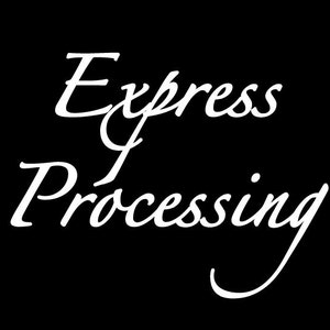 Puede incluir: Texto blanco sobre fondo negro que dice "Express Processing".