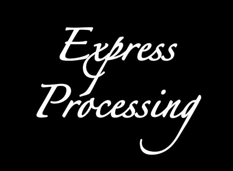 Pu&ograve; includere: Testo bianco su sfondo nero che dice "Express Processing".