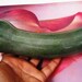 see more listings in the Jade Wand / Dildo section