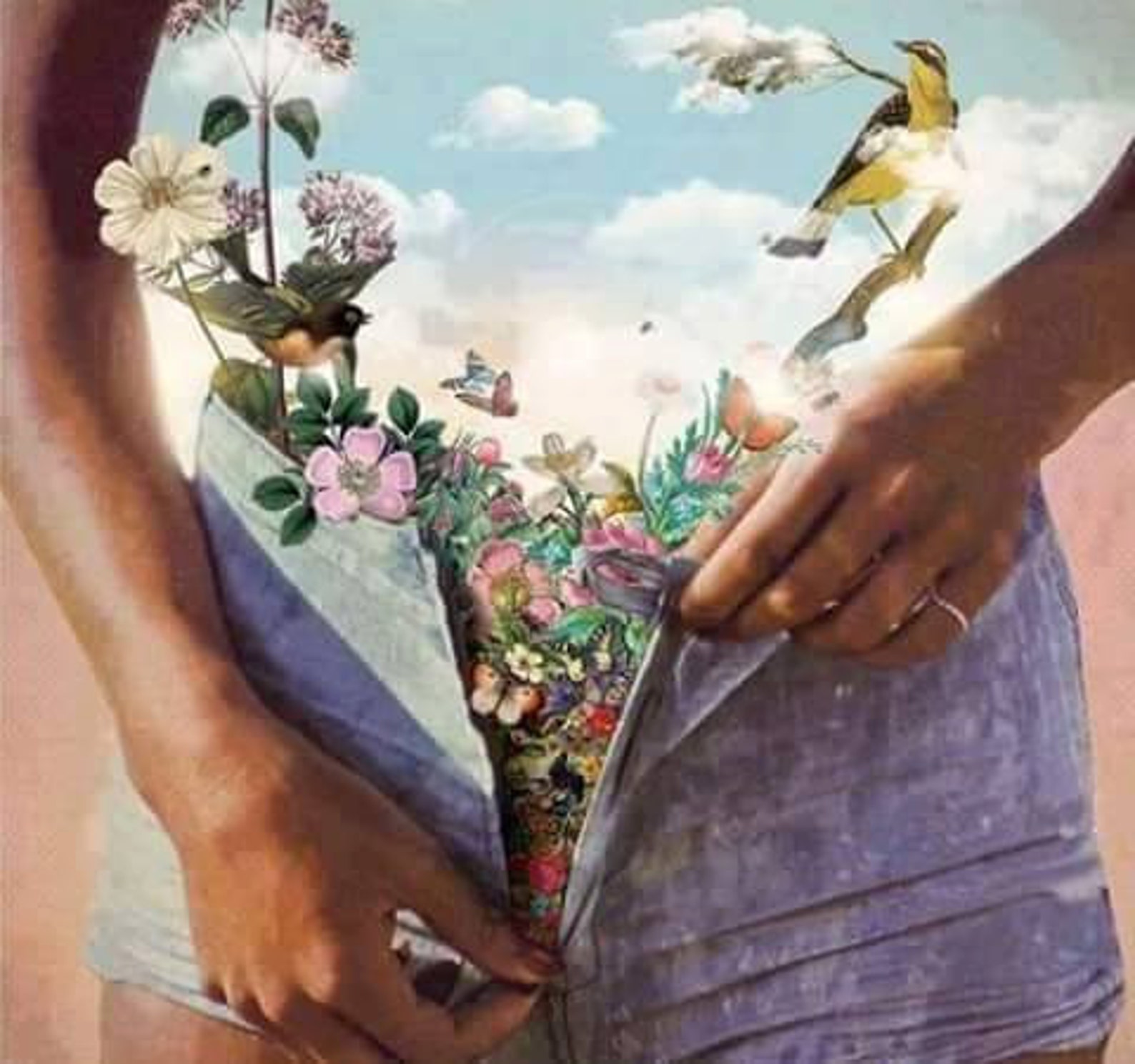 Yoni the Guide How to Use Yoni Egg Yoni Egg Instructions Etsy