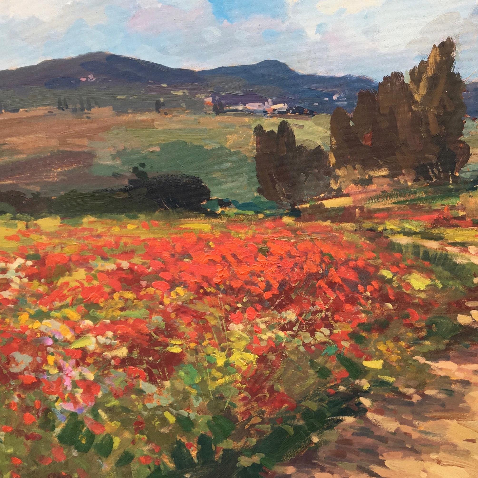 トスカーナの風景画（キャンバスに油絵）、現代印象派の赤いケシ畑