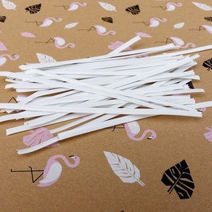 PE Plastic Nose Wire, For DIY MASK, with Galvanized Iron Single Core Inside, White, 100x3mm