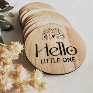 Baby Rainbow Hello Little One Monthly Milestone Disc Set - Child Newborn Baby Monthly Baby Photo Prop Nursery Art