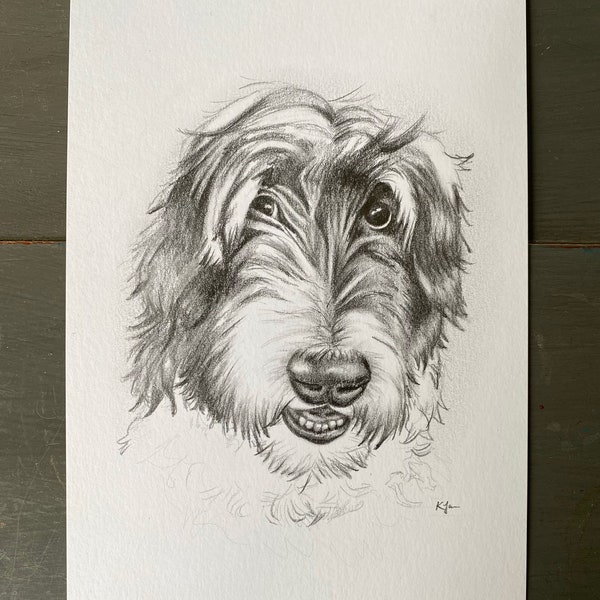 Custom Pet Portrait - Custom Hand Drawn Pets From Photo - Graphite or Charcoal Pet Painting - Pet Lovers - Gift - Momento