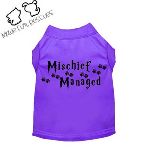 May include: Purple dog t-shirt with black paw prints and the text "Mischief Managed" in a Harry Potter-inspired font.