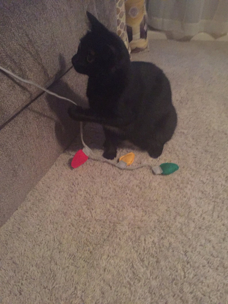 Christmas Lights Cat Toy Organic Catnip Holiday Cat Toy Etsy