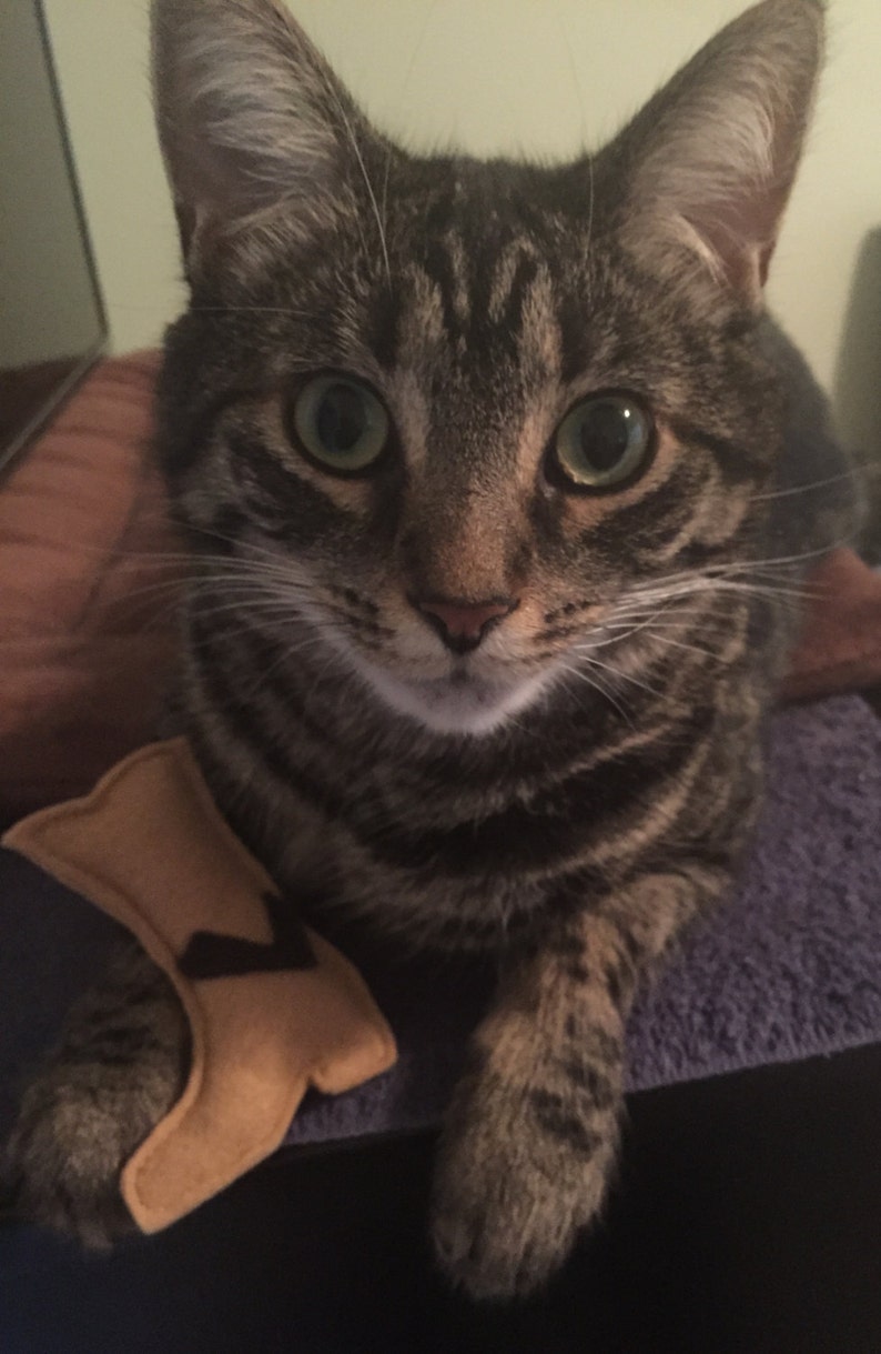 Cowboy Boot Catnip Cat Toy Western Cowboy Boot Cat Toy Etsy