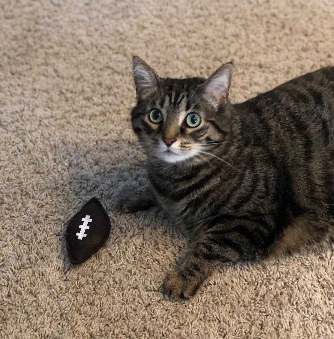 Football Cat Toy Sport Organic Catnip Toy Cat Dad Gift Sports Fan Cat