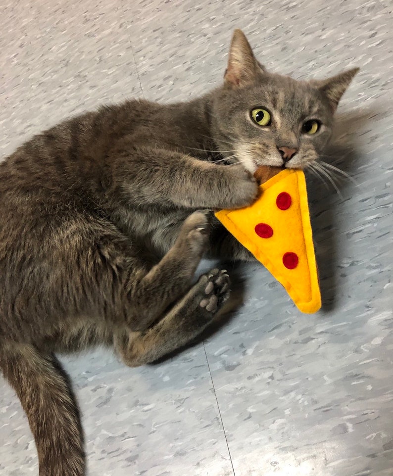 Pizza Catnip Cat Toy Catnip Kitty Toy Organic Cat Nip Pizza Slice Pizza Party Pawty Slice of Pizza image 2