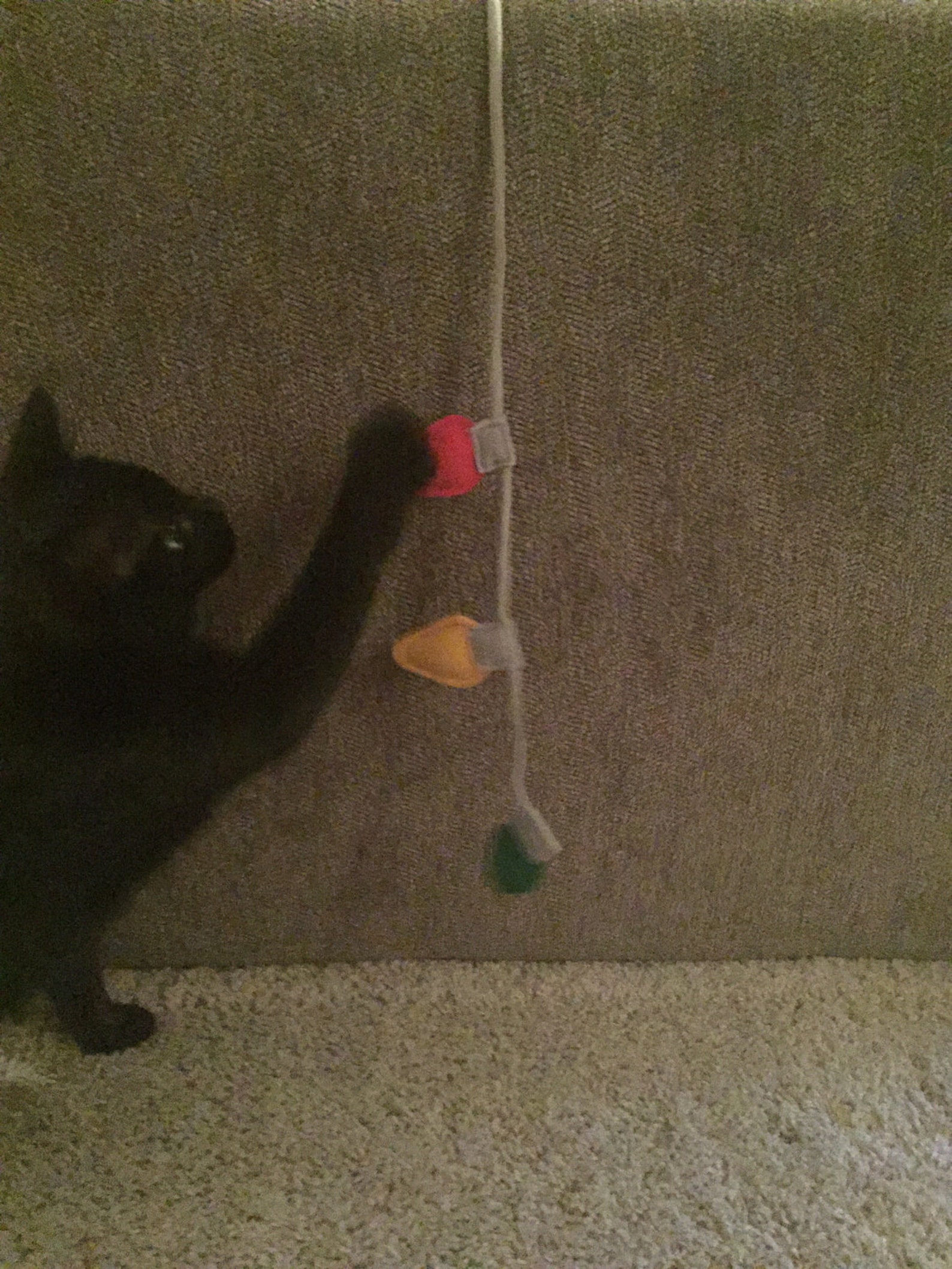 Christmas Lights Cat Toy Organic Catnip Holiday Cat Toy Etsy