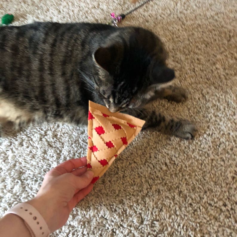 October 2019 Crazy CatLadyBox Review! The Homespun Chics Pet