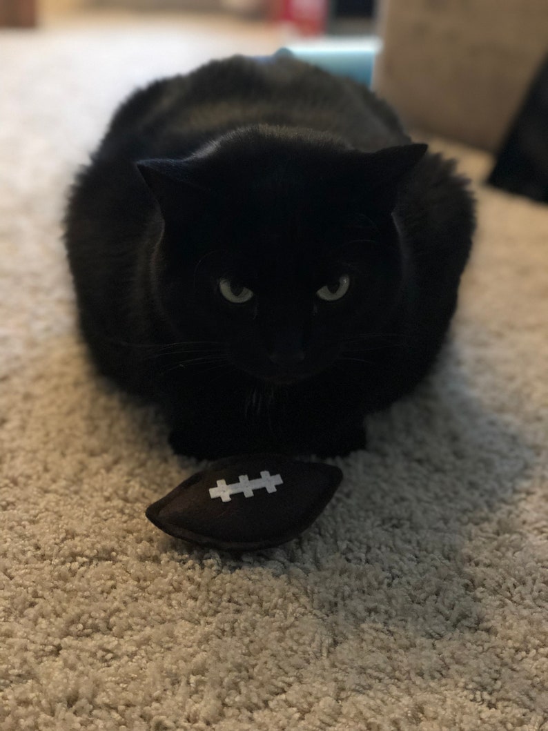 Football Cat Toy Sport Organic Catnip Toy Cat Dad Gift Etsy