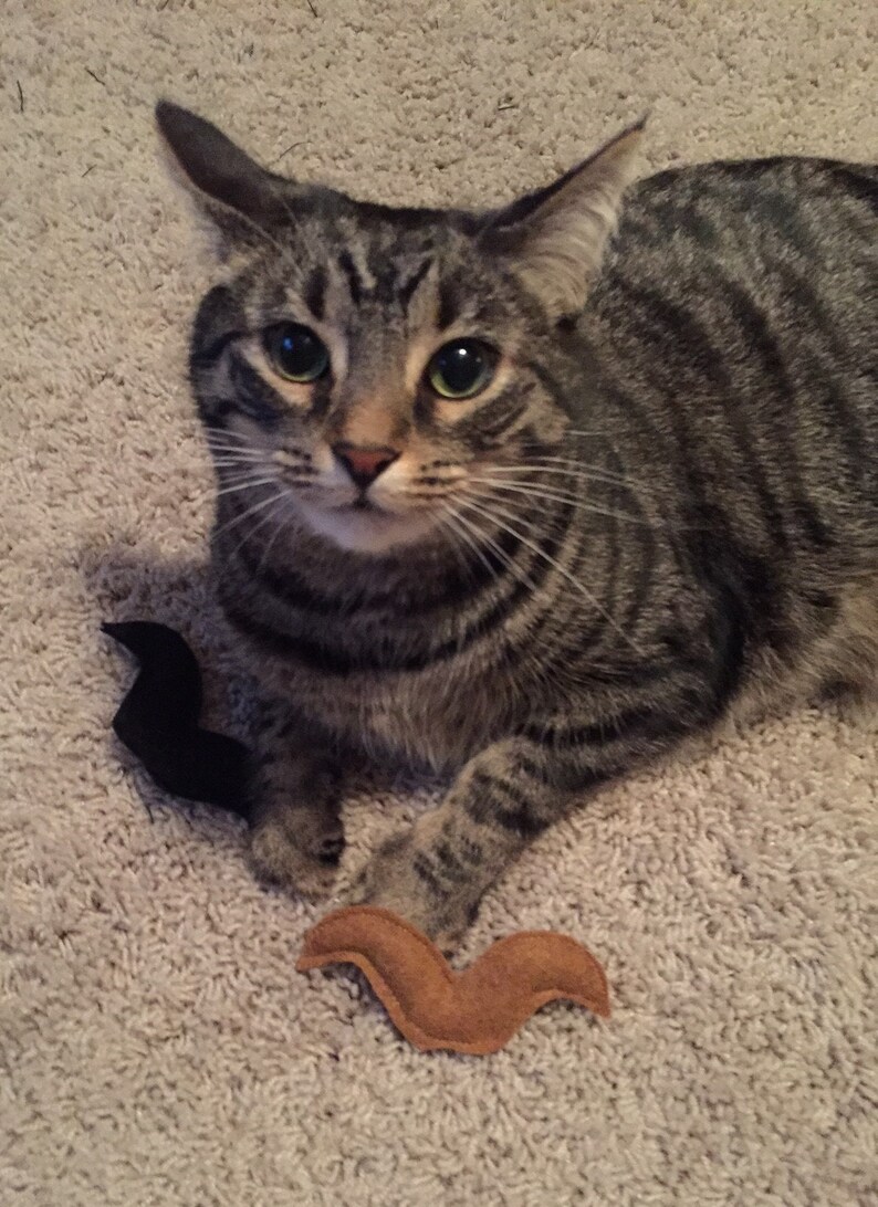 Catnip Mustache Cat Toy Organic Catnip Cat Toy Unique Cat Etsy