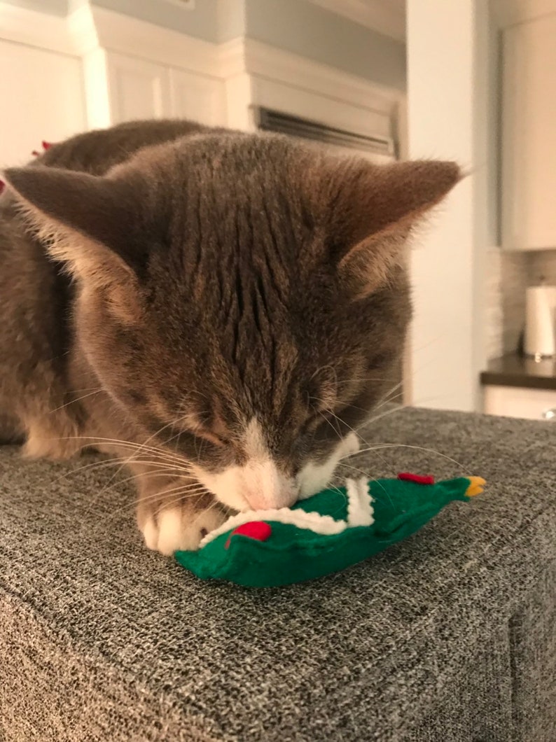 Catnip Christmas Tree Cat Toy Organic Cat Nip Kitty Toy Etsy