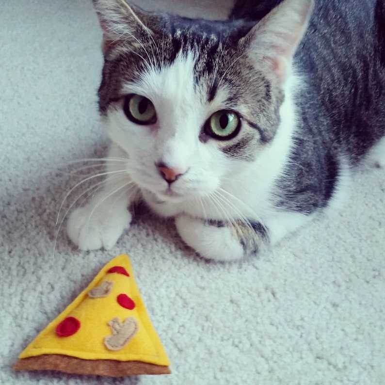 Pizza Catnip Cat Toy Catnip Kitty Toy Organic Cat Nip Pizza Slice Pizza Party Pawty Slice of Pizza image 3