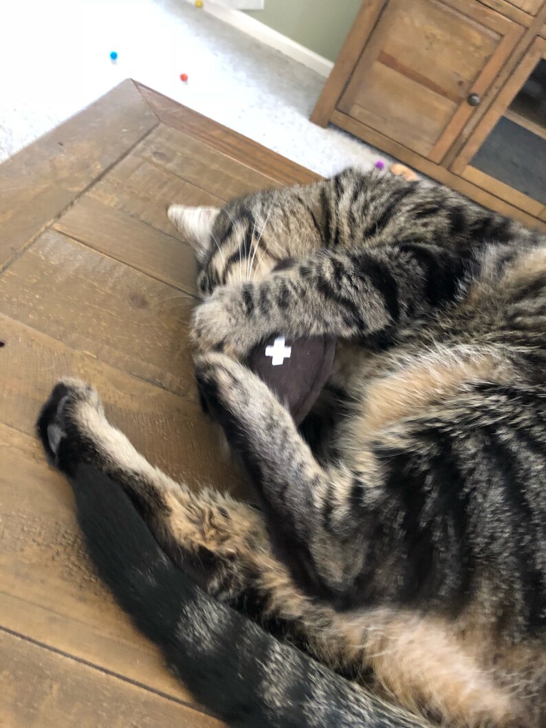 Football Cat Toy Sport Organic Catnip Toy Cat Dad Gift Etsy
