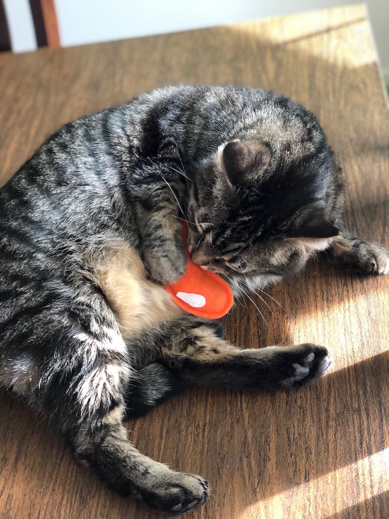 Jelly Bean Catnip Cat Toy Jellybean Cat Nip Kitty Gift Etsy