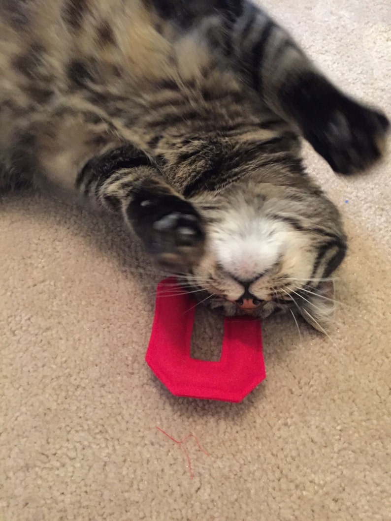 Ohio Football Cat Toys State of Ohio Football Catnip Cat Etsy