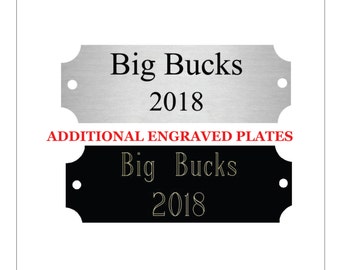 Extra plate for Fantasy Football Trophy