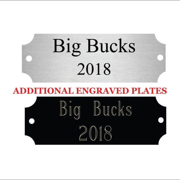 Extra plate for Fantasy Football Trophy