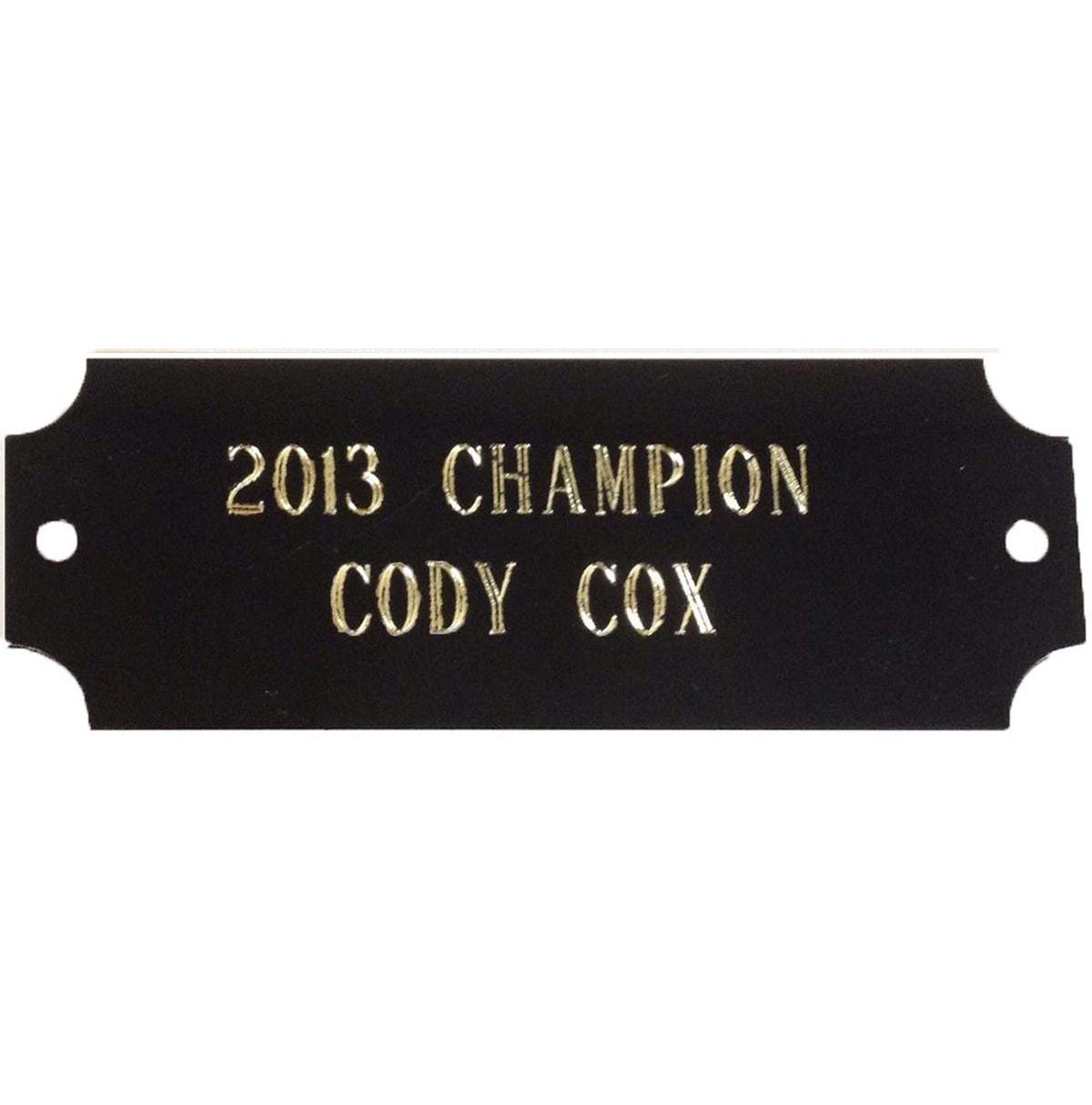 Small Black & Gold Engraved Plate for Fantasy Trophies