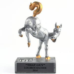 May include: A silver and gold trophy shaped like a rearing horse with a gold tail. The base of the trophy is gray and has the text "THAT GUY" "LOS BROCHACHOS" "2014" on it.