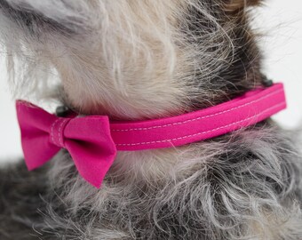 Bright Pink Dog & Puppy Collar with optional bow tie